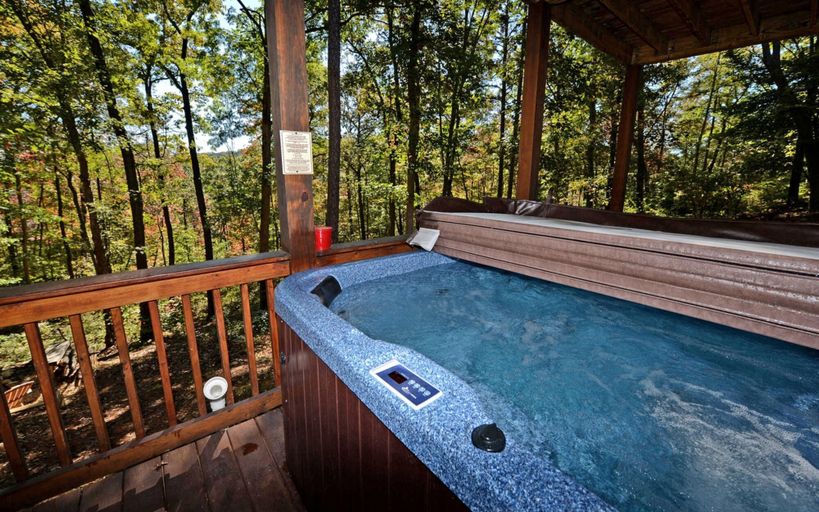 Sport & Beauty, 100 Acre Wood, Fannin