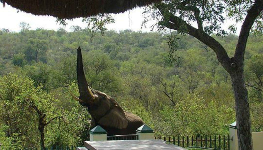 Others 5, Muweti Bush Lodge, Mopani