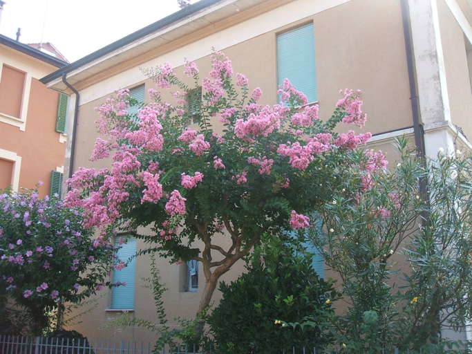 Exterior & Views 2, B&B Accorsi, Bologna