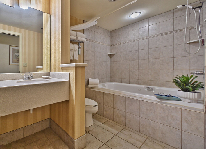 Bathroom 4, Four Seasons Island Resort, Marinette