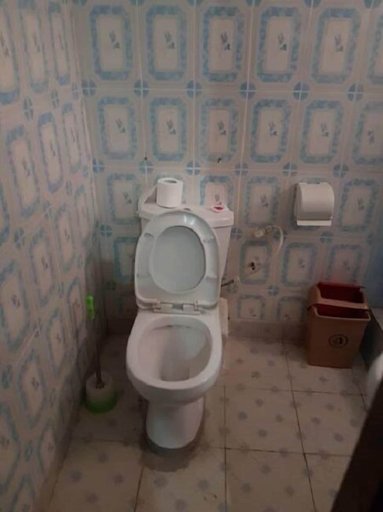 Bathroom, Hamasei Hotel, Kintampo North