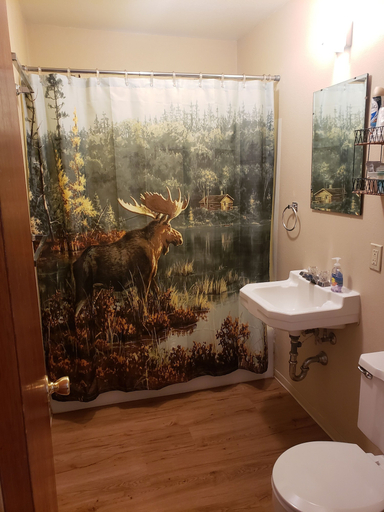 Bathroom 4, lazy bear cabins, Rio Grande
