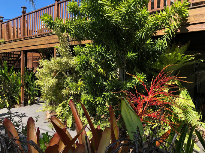 Five 3 Five - The Beachside Barracks, Hervey Bay - Pt A