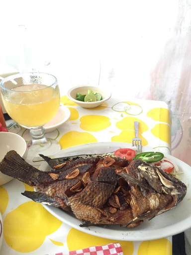 Food & Drinks 5, Casa Q BnB, Mexico City