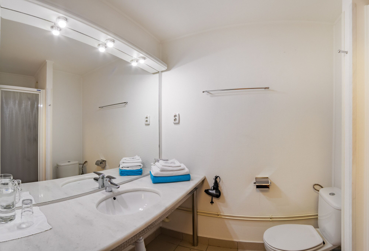 Bathroom 4, Swedish Village Hotel, Timashevskiy rayon