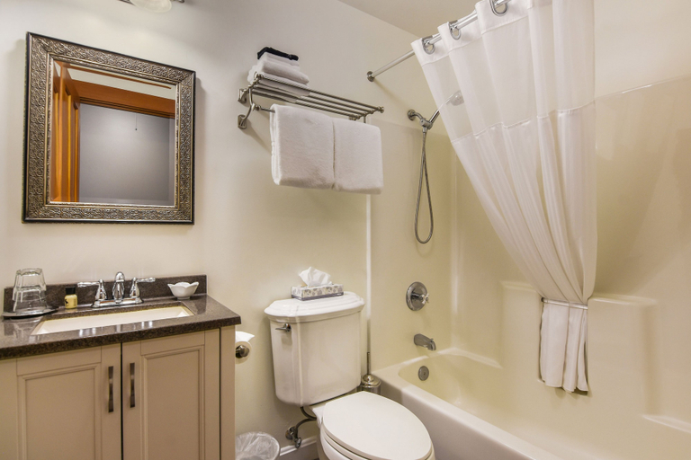 Bathroom 5, The Wild Iris Inn, Skagit