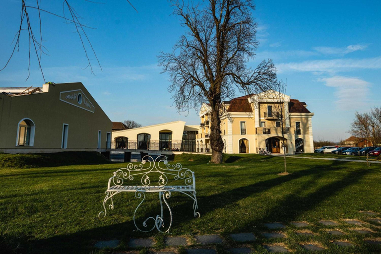 Exterior & Views 2, Hotel Cardinal, Vintu De Jos