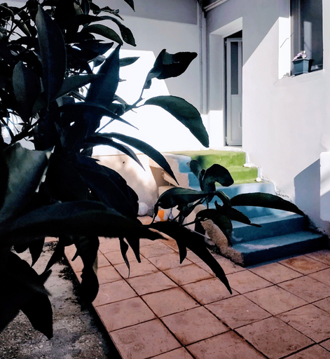Exterior & Views 2, STUDIOS POSEIDONIA apartments 50 & 70 sqm with sea view, Peloponnese