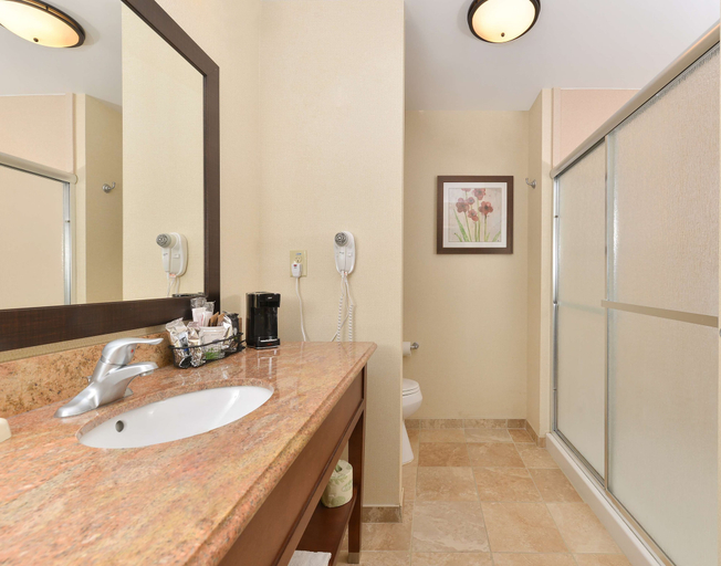 Bathroom 4, Hampton Inn Muscatine, Muscatine