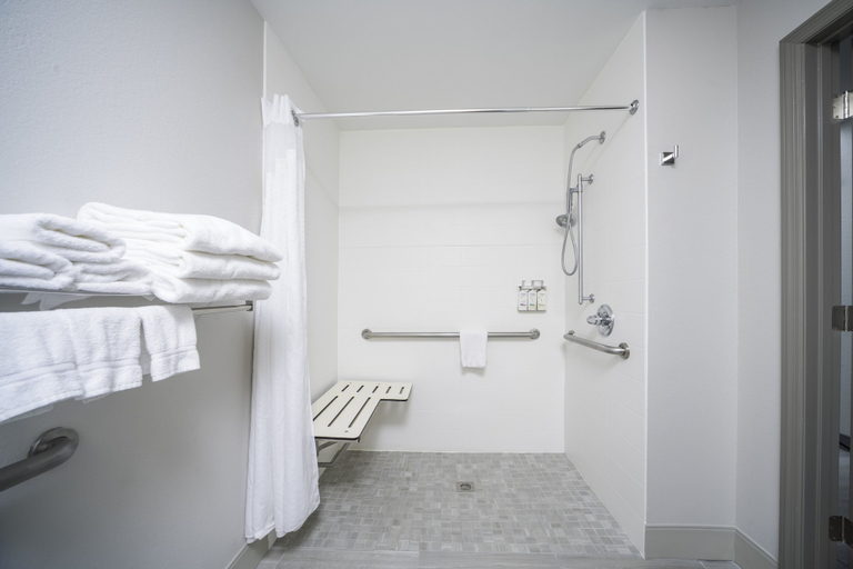 Bathroom 5, Holiday Inn Express & Suites ATLANTA-JOHNS CREEK by IHG, Forsyth