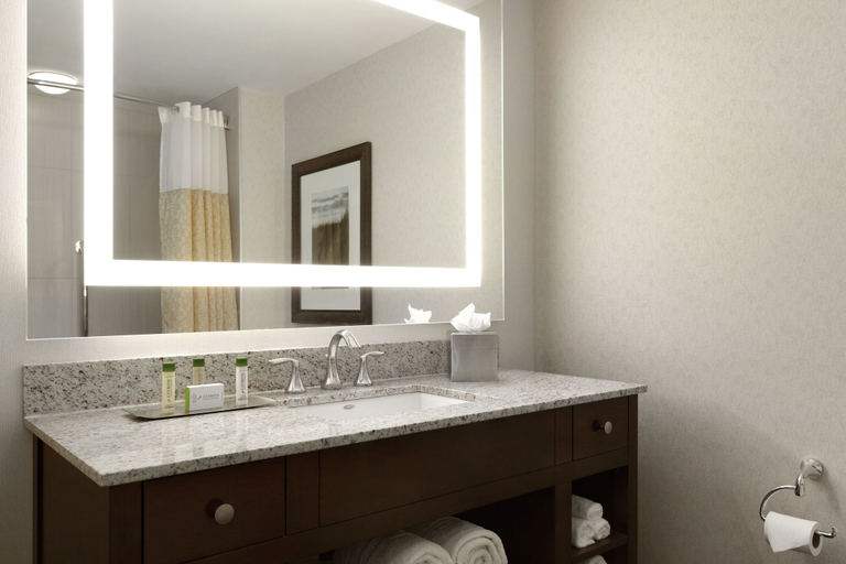 Bathroom 4, DoubleTree by Hilton Hotel Boston Bayside, Boston