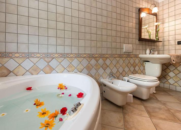 Bathroom 5, B&B Agrialpi, Torino