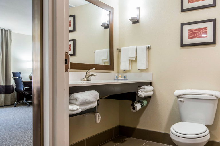 Bathroom 4, Comfort Suites Byron Warner Robins, Peach
