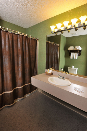 Bathroom 3, Boarders Inn & Suites by Cobblestone Hotels – Waukon, Allamakee