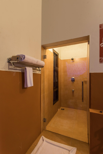 Bathroom 4, Indo Asia Heritage, Coorg, Kodagu