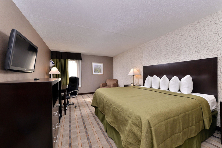 Bedroom 3, Quality Inn & Suites Matteson near I-57, Cook