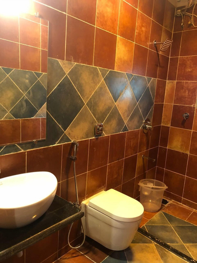 Bathroom, Shrushti - The Village Resort, Raigarh