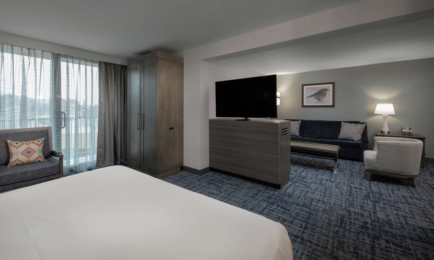 Bedroom 3, DoubleTree by Hilton Hot Springs, Garland