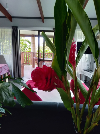 Others 5, Te Moana Nui Villa 2, Rorotonga