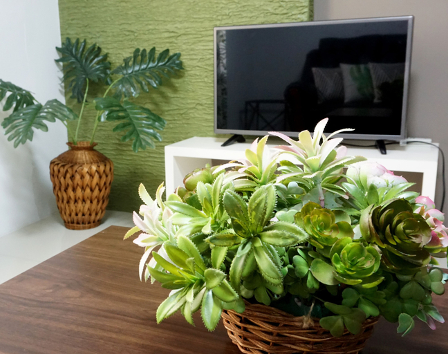 Others 5, Forest View Leisure Residences, Morong