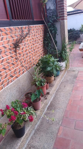Others 5, Sunny's Home, Kinmen