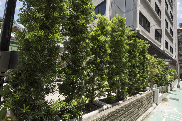 Exterior & Views 2, Doitsu Hotel, Taipei City