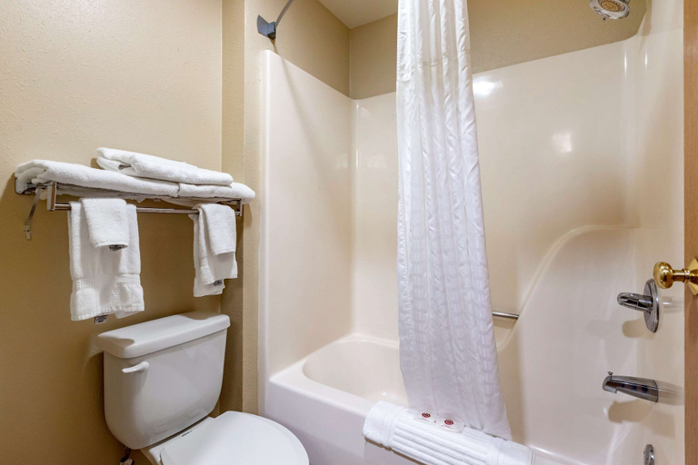 Bathroom 4, Comfort Inn & Suites Cedar Rapids North - Collins Road, Linn