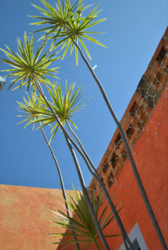 Exterior & Views 2, El Jardin Hotel & Restaurant, Tola