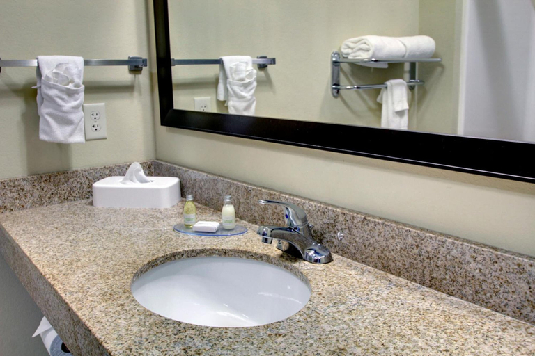 Bathroom 4, Stanton Inn & Suites, Martin