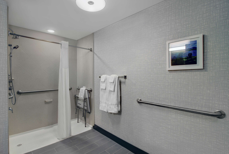 Bathroom 4, Hampton Inn & Suites Syracuse Dewitt, Onondaga