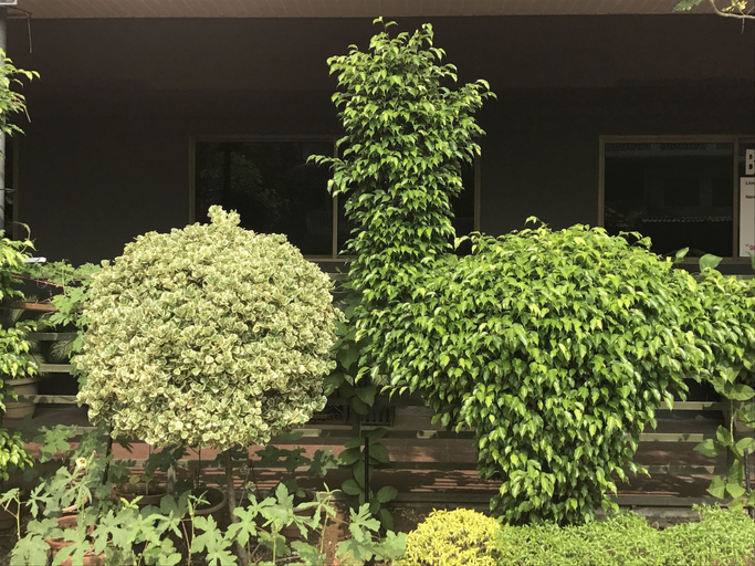 Exterior & Views 2, Hotel Presidency, Ernakulam