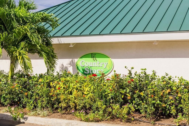 Exterior & Views, Tranquillity at The Palms