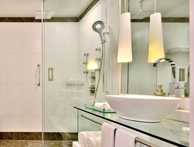 Bathroom 5, Radisson Blu Bengaluru Outer Ring Road, Bangalore