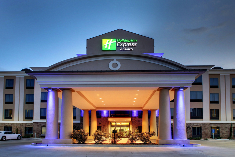 Exterior & Views 1, Holiday Inn Express & Suites NATCHEZ SOUTH, Adams