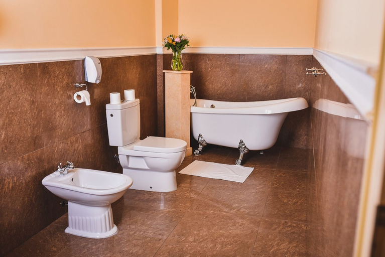 Bathroom 3, Chateau Kynšperk, Cheb