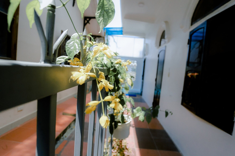 Others 5, Tabi homestay, Huế