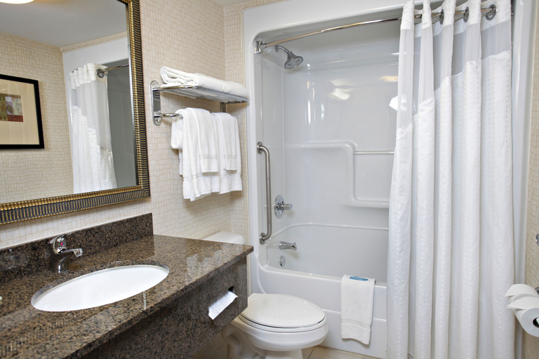 Bathroom 4, Comfort Inn & Suites, Bruce