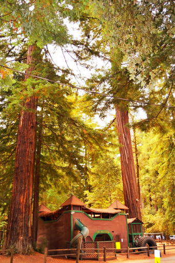 Exterior & Views 2, Redwoods River Resort, Mendocino