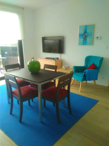 Others 4, Fully Equipped Sunny Apartment, Antwerpen