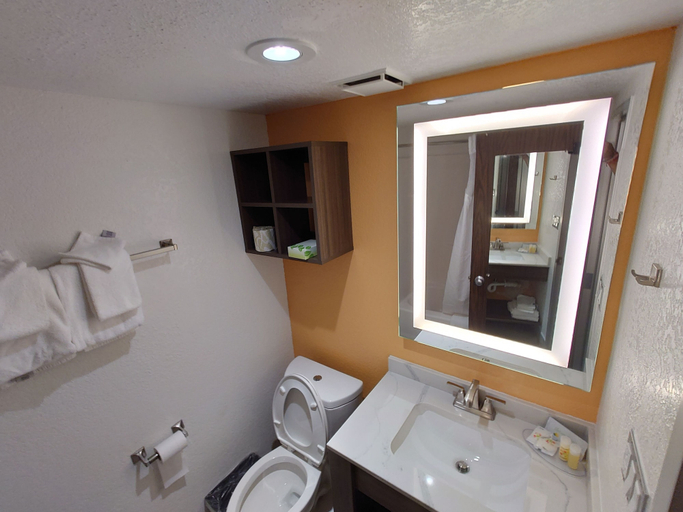 Bathroom 5, Reagan Resorts Inn, Sevier