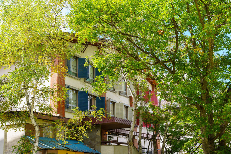 Exterior & Views 2, Villa Alpen, Yamanouchi