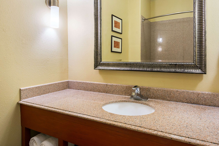 Bathroom 3, Comfort Suites Lake Charles, Calcasieu