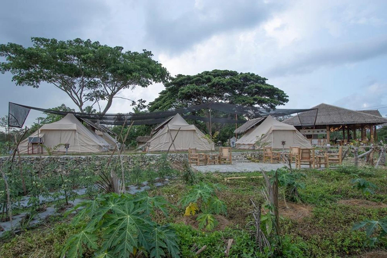 Others 5, The Acacia Glamping Park, Carmen