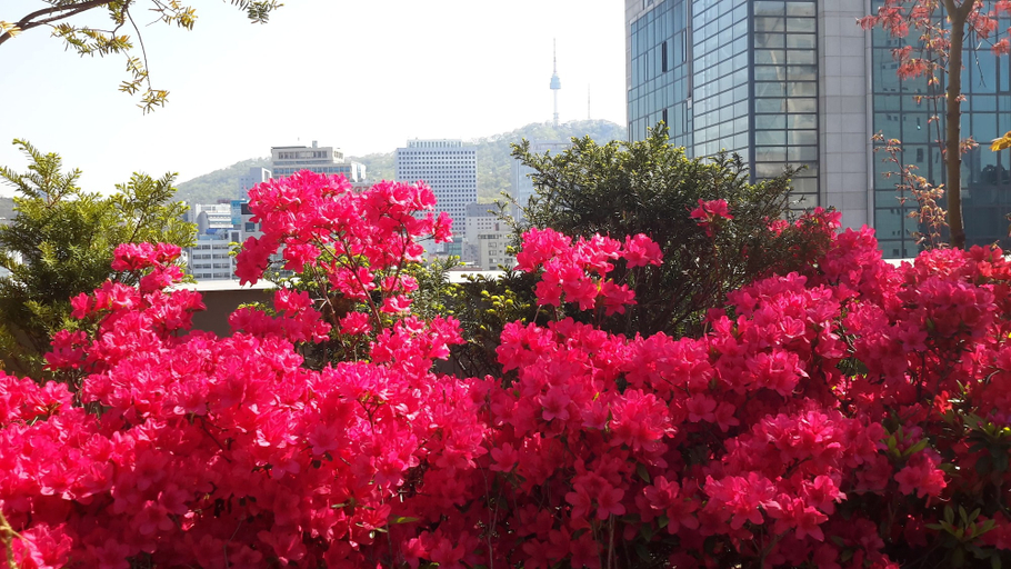 Exterior & Views 2, Hotel Rian, Jongno