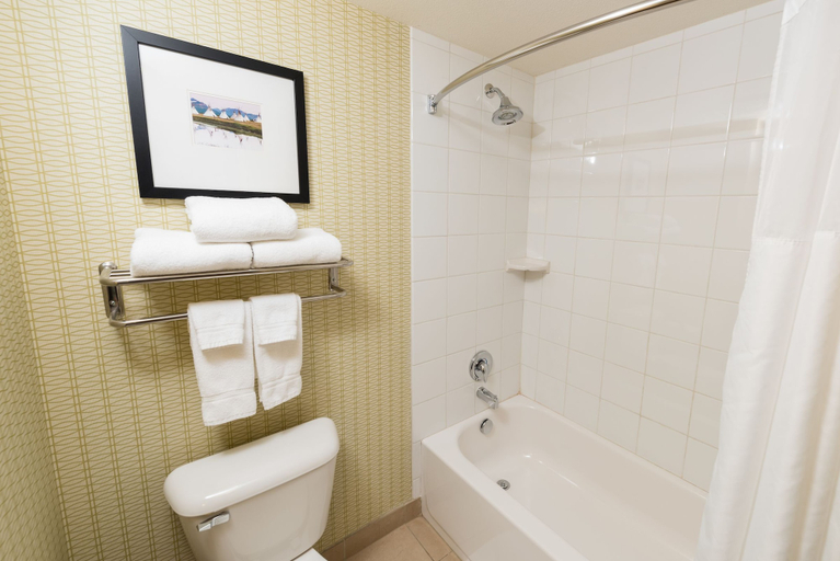 Bathroom 5, Glacier Peaks Hotel, Glacier