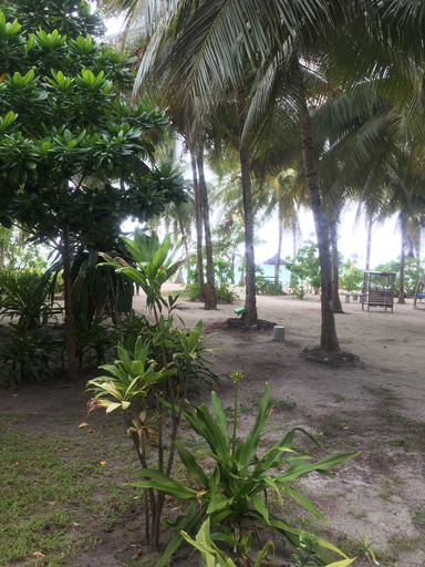 Others 5, Nazaki Beach Hotel Maldives