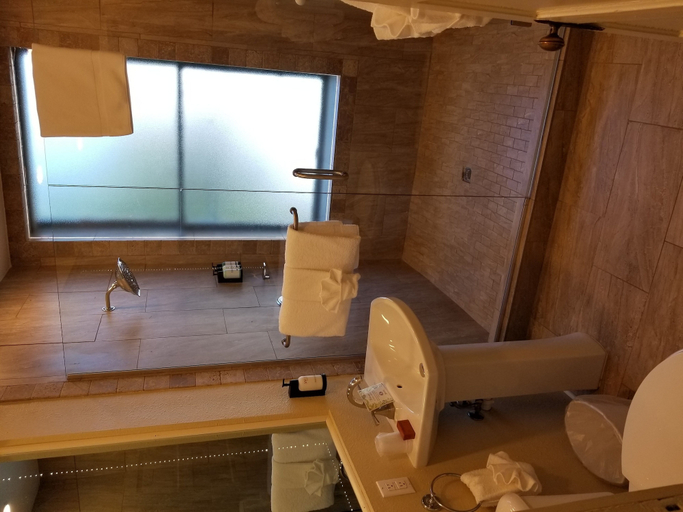 Bathroom 4, Basin Park Hotel and Spa, Carroll