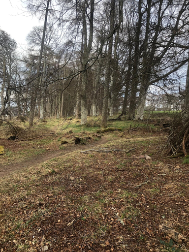 Others 4, Appin Apartment, Highland