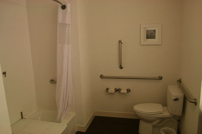 Bathroom 5, Hampton Inn Cape Girardeau I 55 East, Cape Girardeau
