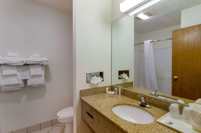 Bathroom 4, Comfort Inn Atkins-Marion I-81, Smyth